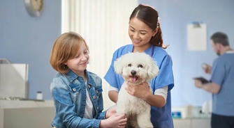 Unveiling the Magical World of Pet Nurses